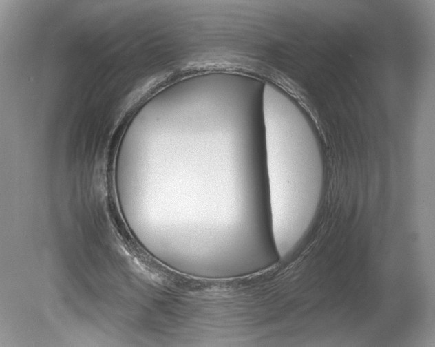 X0000080140578200612081029