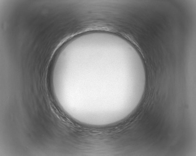 X0000080140579200612081029