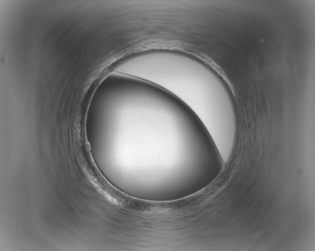 X0000080140581200612081029