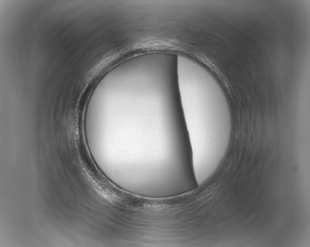 X0000080140582200612081028