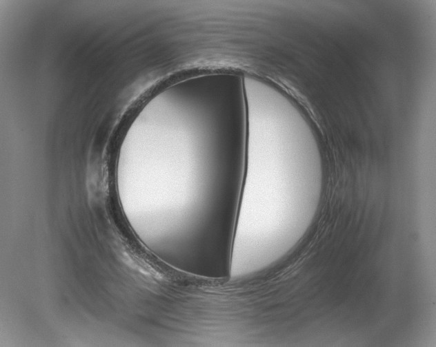 X0000080140584200612081028