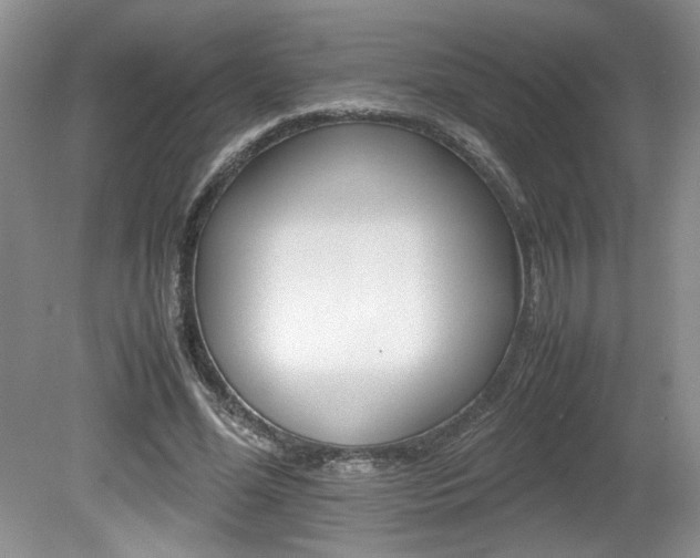 X0000080140588200612081028