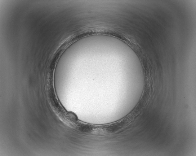 X0000080140591200612081028