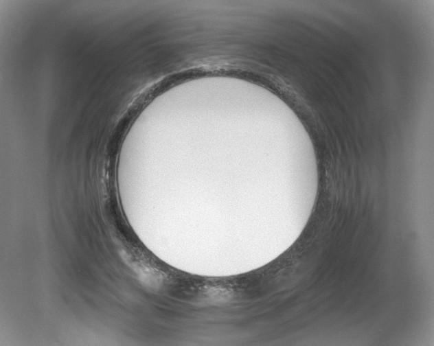 X0000080140592200612081028