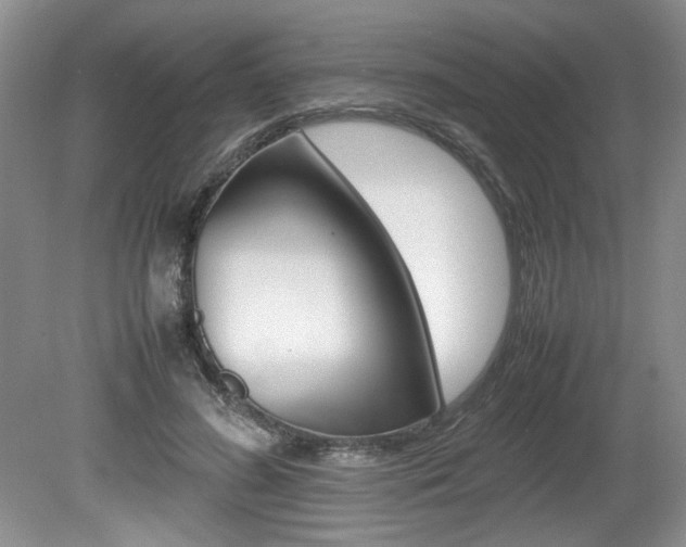 X0000080140596200612081028