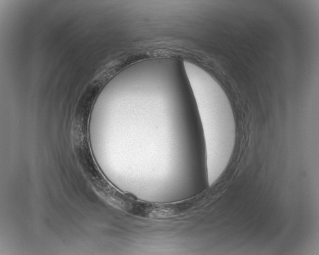 X0000080140599200612081028
