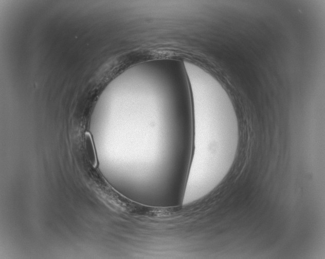 X0000080140601200612081028