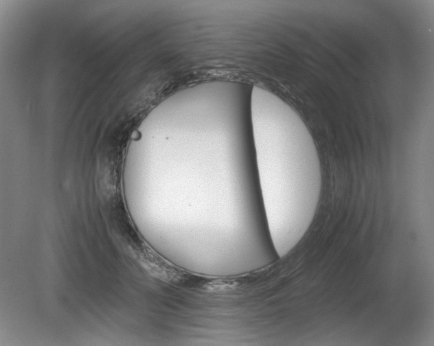 X0000080140606200612081028
