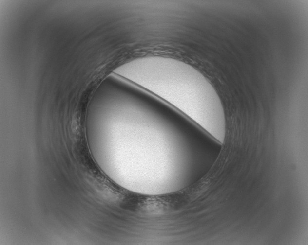 X0000080140608200612081028