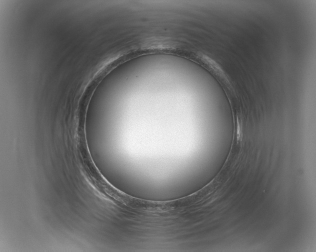 X0000080140627200612081027