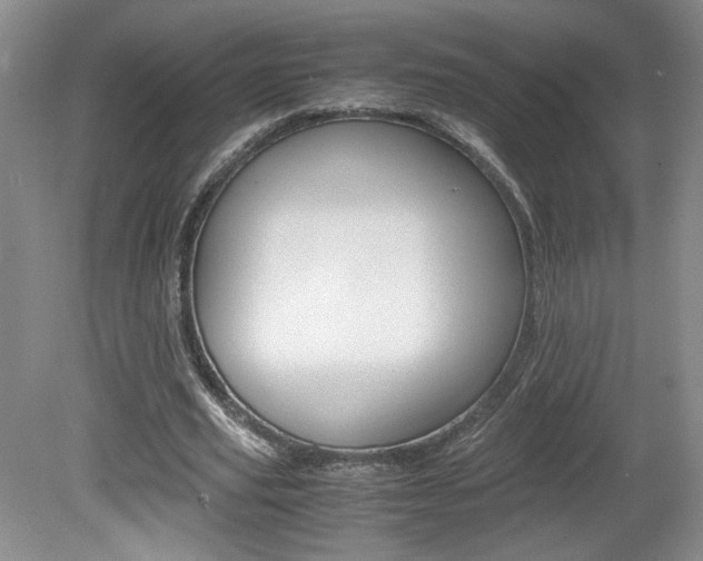 X0000080140629200612081027