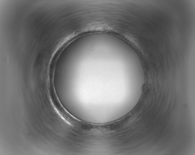 X0000080140630200612081027