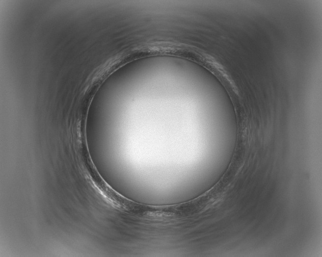 X0000080140633200612081027