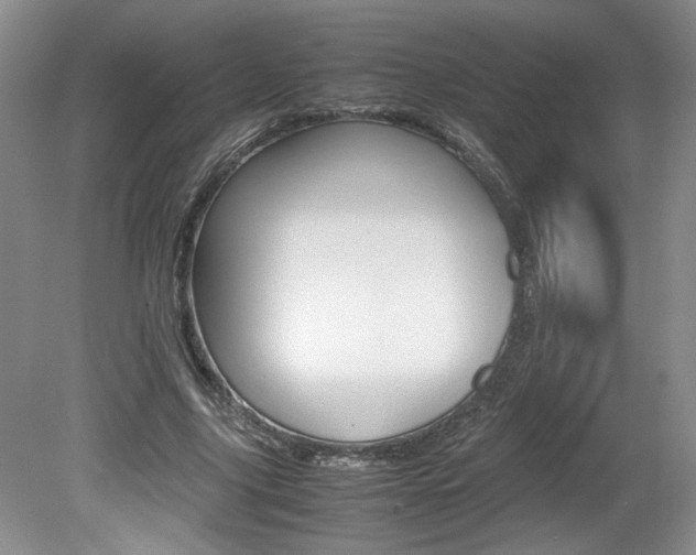 X0000080140635200612081027