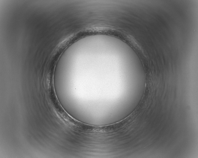 X0000080140640200612081027