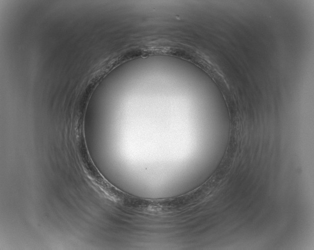 X0000080140641200612081027