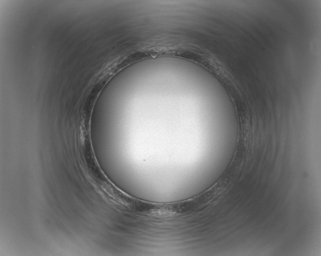 X0000080140644200612081027