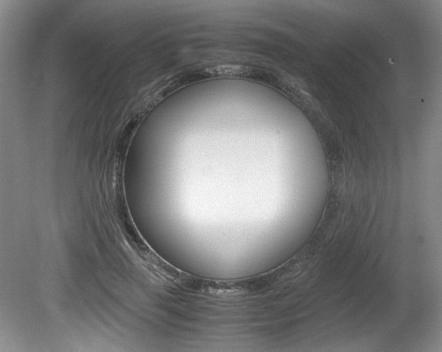 X0000080140645200612081027