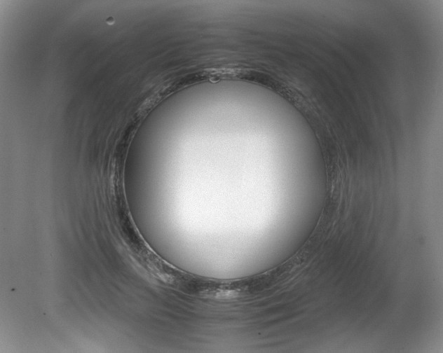 X0000080140647200612081027