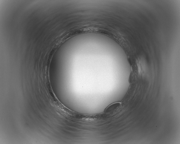 X0000080140649200612081027