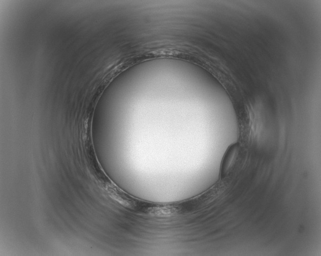 X0000080140652200612081027