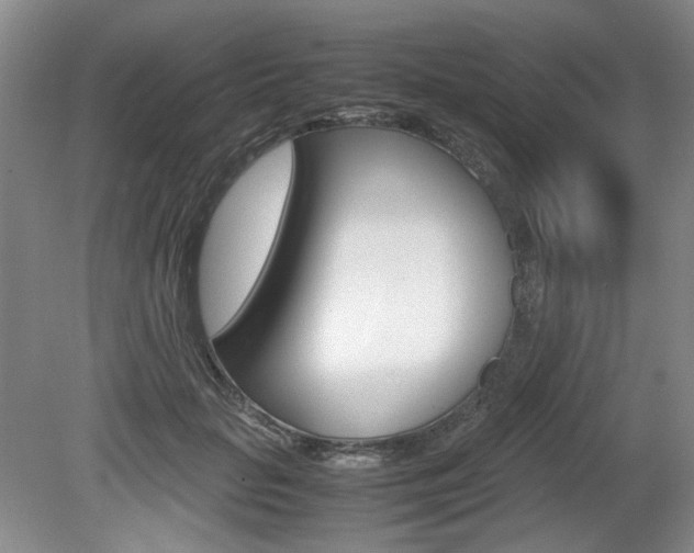 X0000080140653200612081027