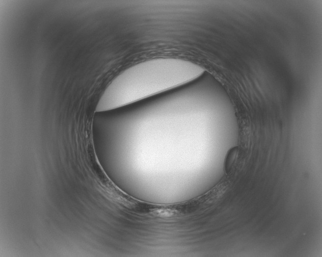 X0000080140654200612081027