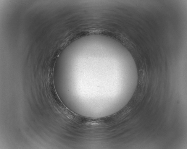 X0000080140655200612081027