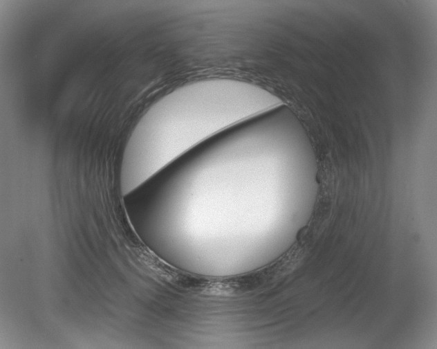 X0000080140656200612081028