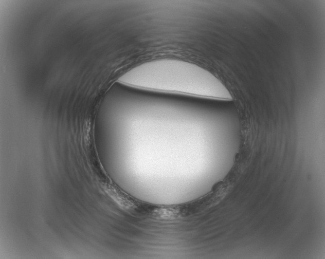 X0000080140660200612081028