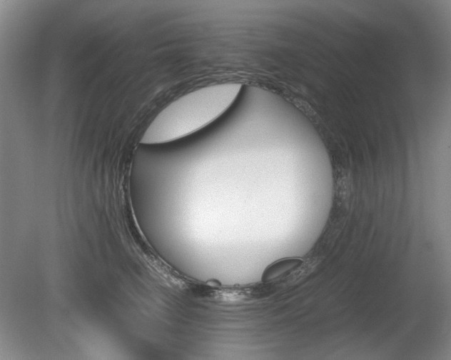 X0000080140662200612081028
