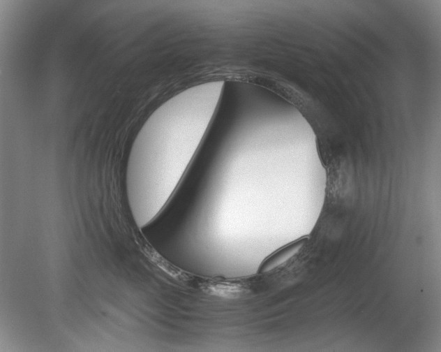 X0000080140669200612081028