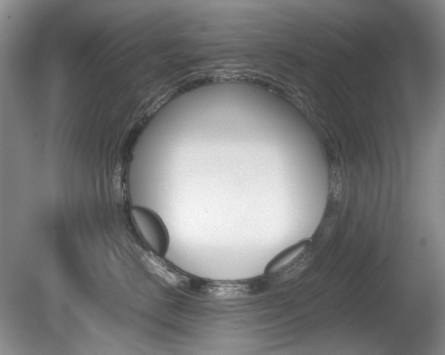 X0000080140670200612081028