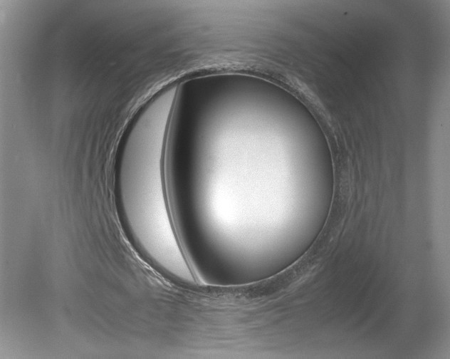 X0000080140673200612081027