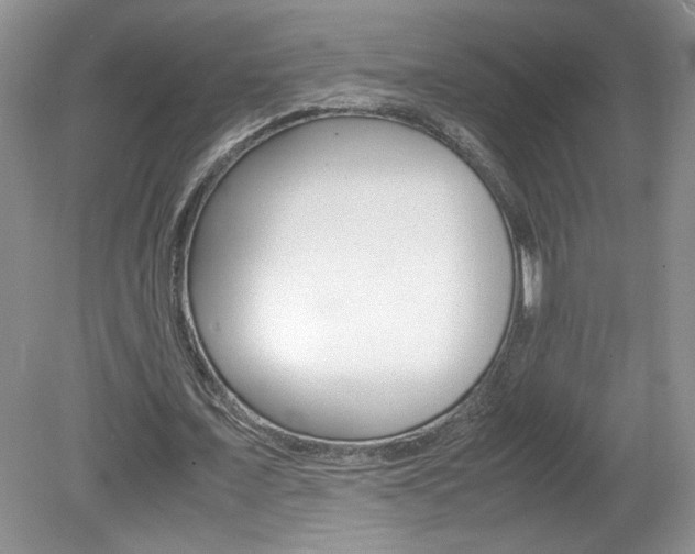 X0000080140675200612081027