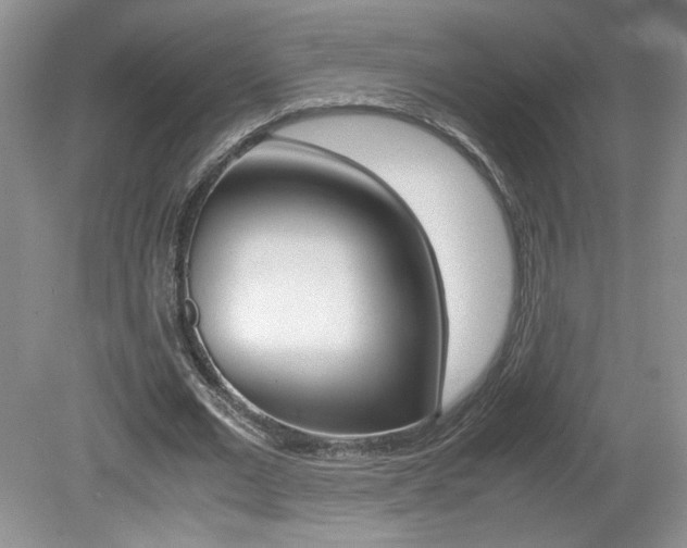 X0000080140677200612081027