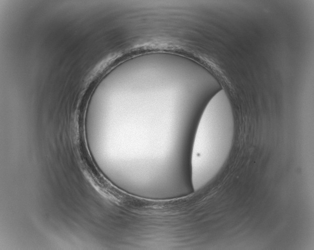X0000080140678200612081027