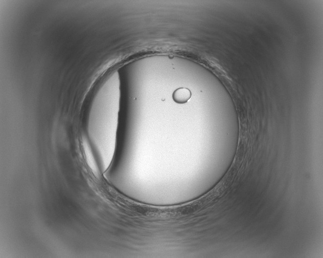 X0000080140679200612081027