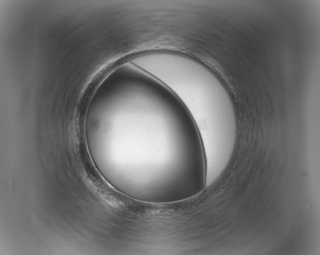 X0000080140680200612081027