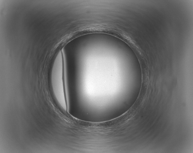 X0000080140681200612081027