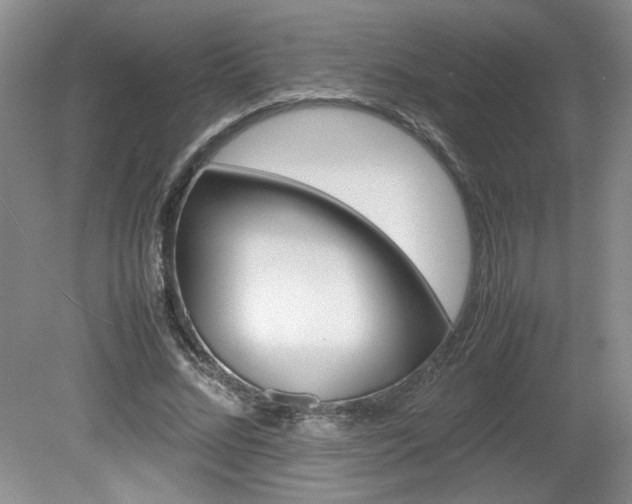 X0000080140684200612081027
