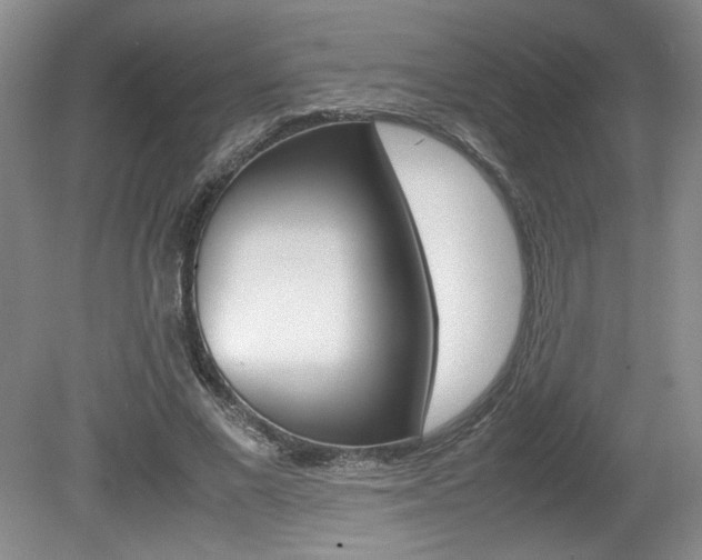 X0000080140685200612081027