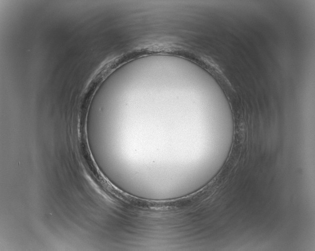 X0000080140686200612081027