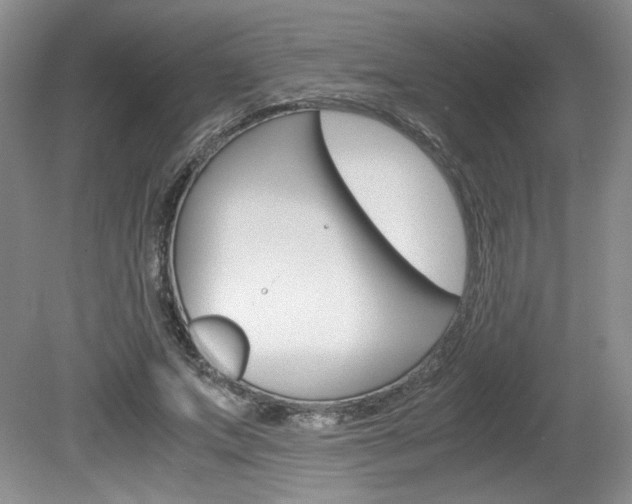 X0000080140687200612081027