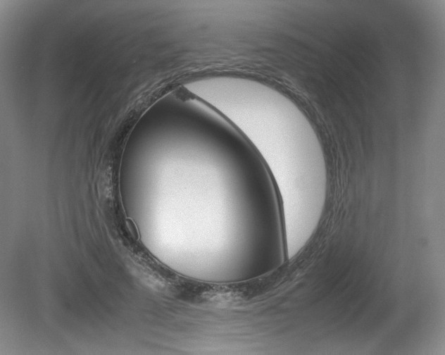 X0000080140689200612081027