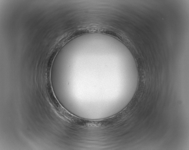 X0000080140690200612081027