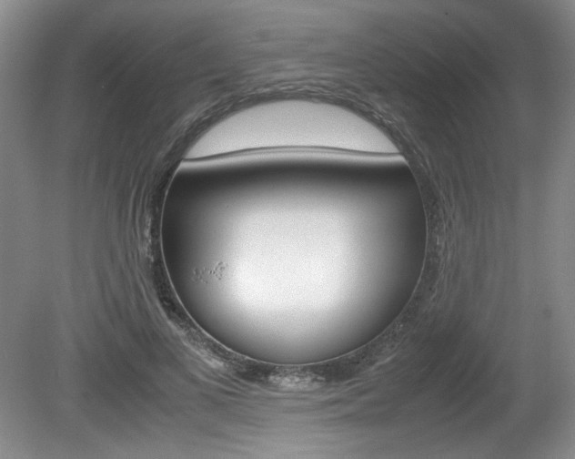 X0000080140693200612081027