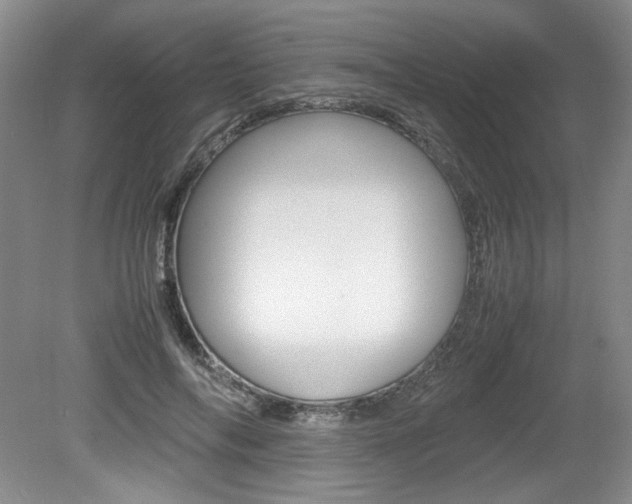 X0000080140694200612081027