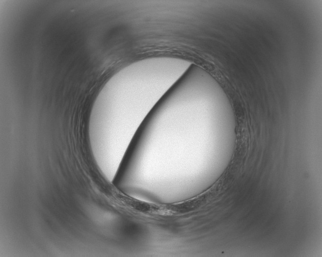 X0000080140695200612081027