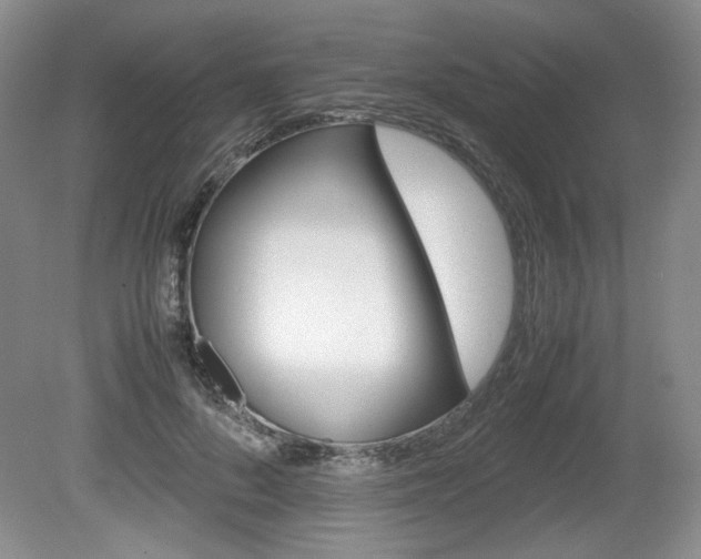 X0000080140696200612081027